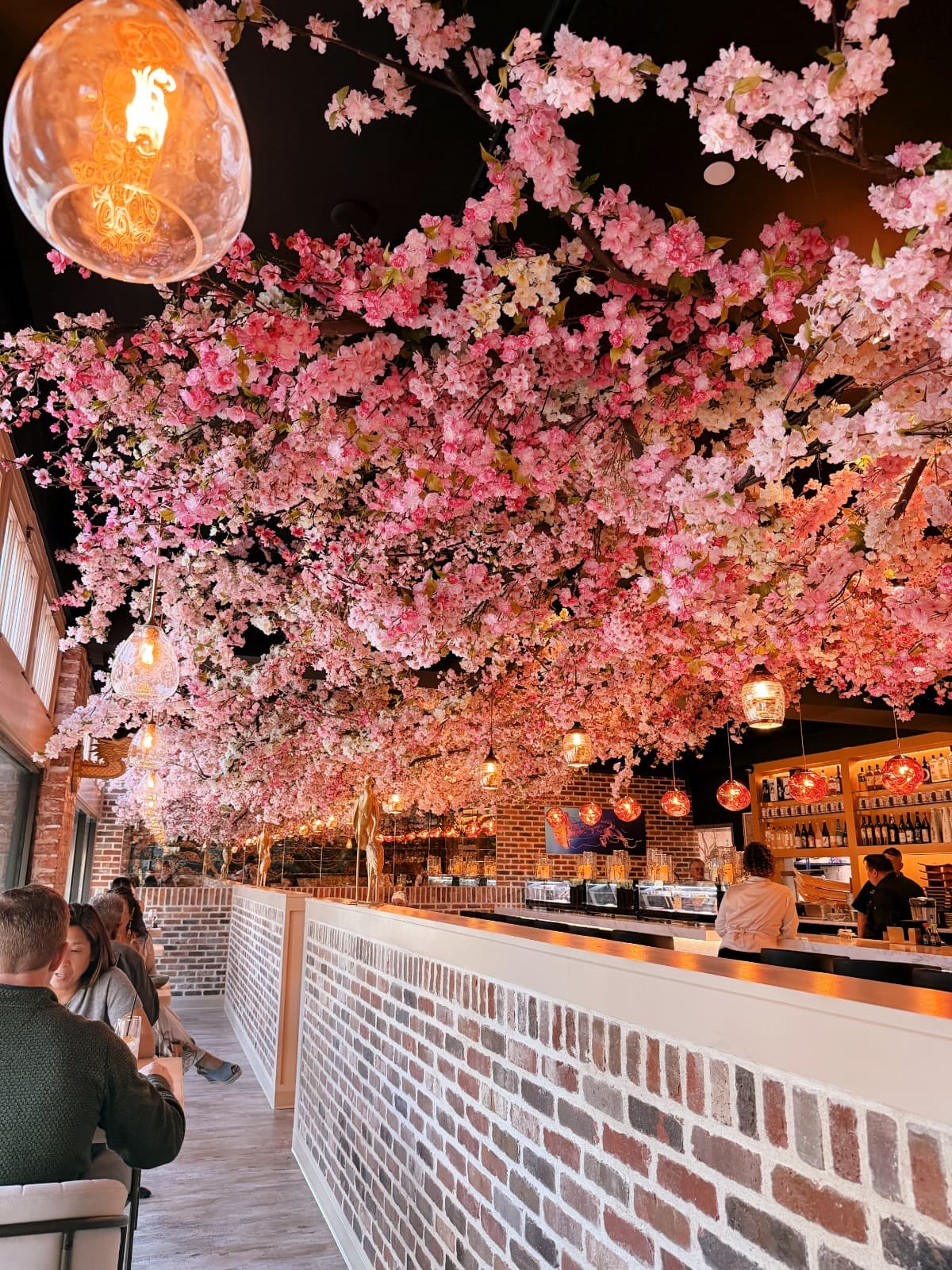 Evening dining atmosphere